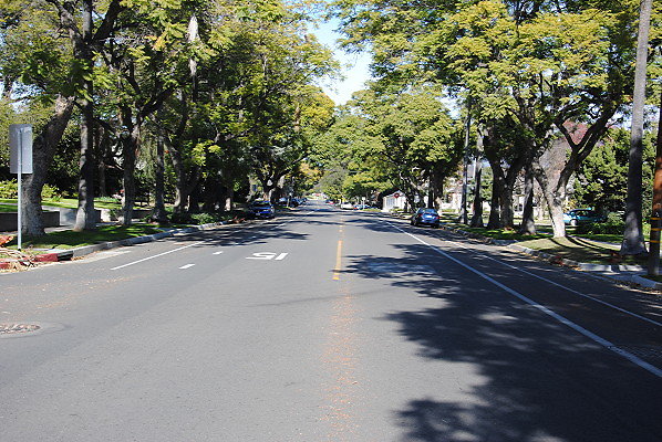DSC 0236