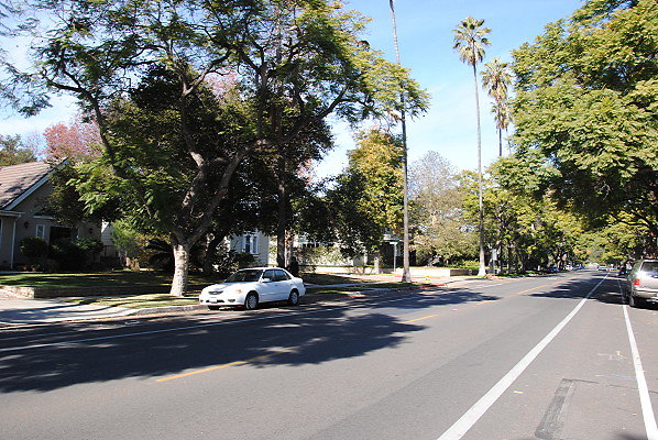 DSC 0225