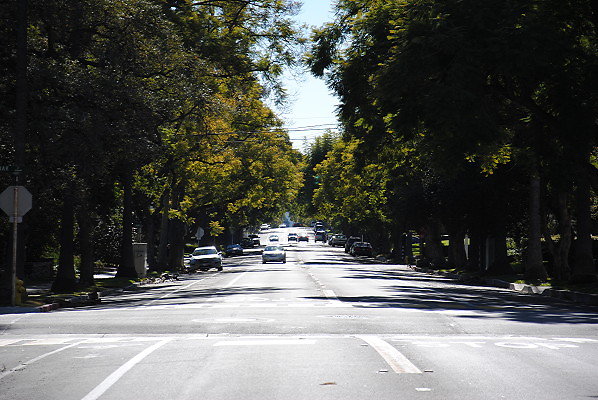 DSC 0215
