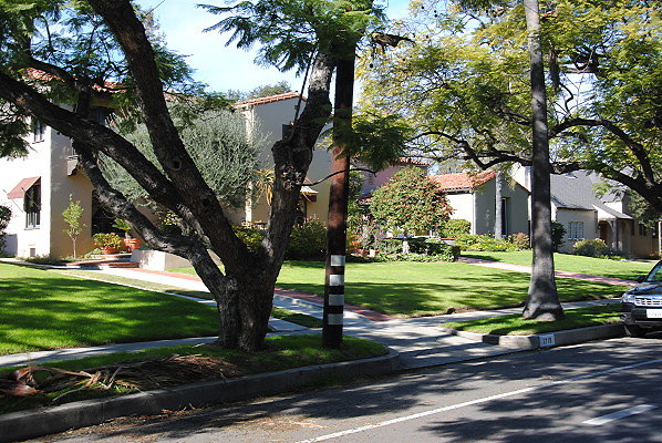 DSC 0192