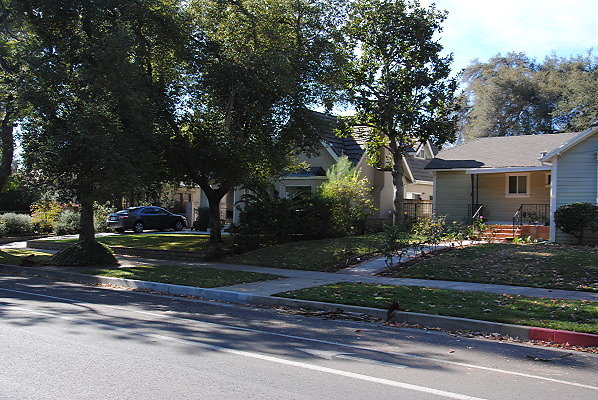 DSC 0231