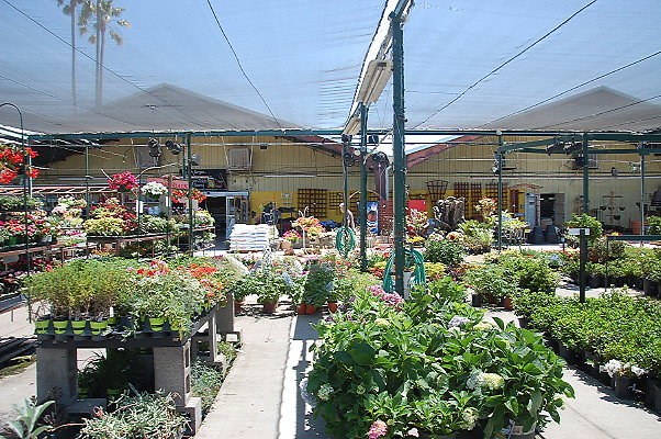 DSC 0384