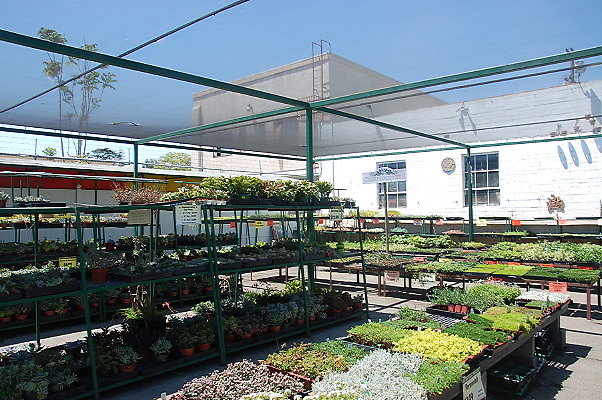 DSC 0382
