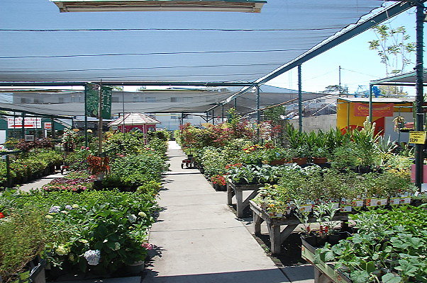 DSC 0374