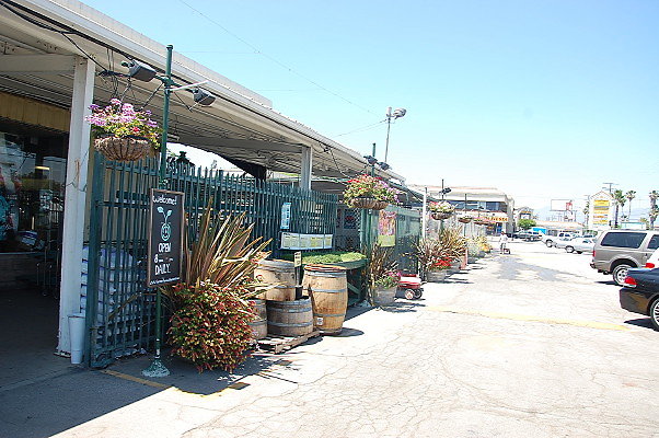 DSC 0344