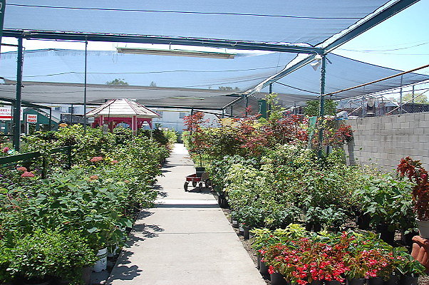 DSC 0386
