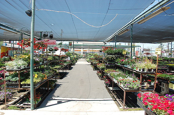 DSC 0368