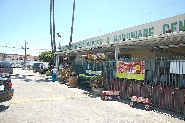 DSC 0336