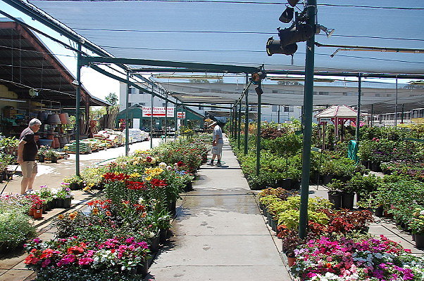 DSC 0370