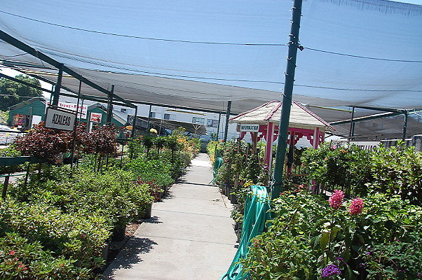 DSC 0387