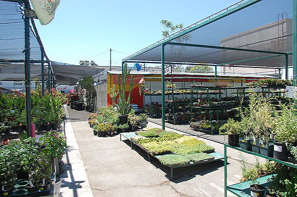 DSC 0375