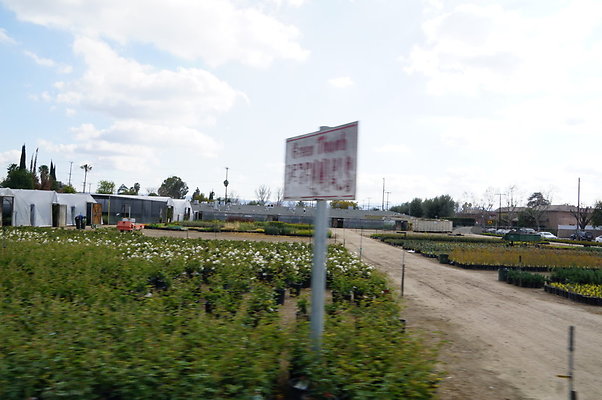 Green.Thumb.Growing.Canoga.P.48
