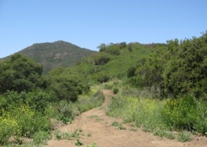 Canyon.Ranch.Roads24