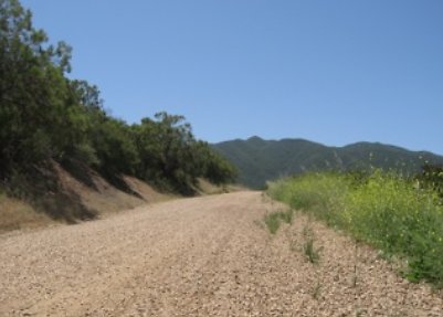 Canyon.Ranch.Roads26