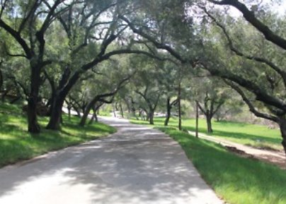 Canyon.Ranch.Roads10
