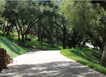 Canyon.Ranch.Roads09