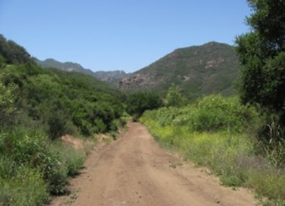 Canyon.Ranch.Roads23