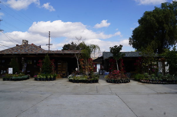 Topanga.Nursery.Chats.12