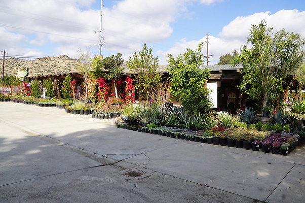 Topanga.Nursery.Chats.20