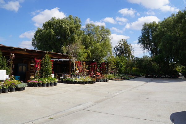 Topanga.Nursery.Chats.35