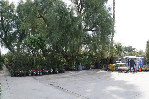 Topanga.Nursery.Chats.14