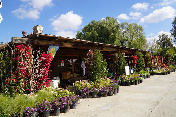 Topanga.Nursery.Chats.32