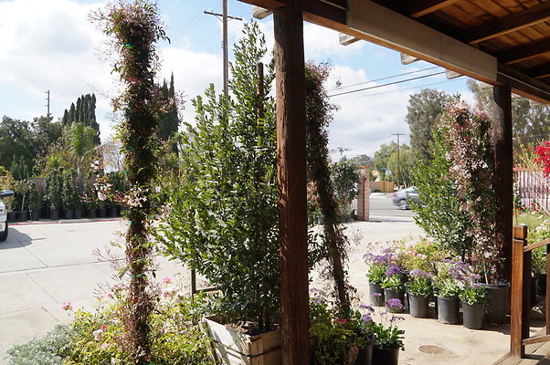 Topanga.Nursery.Chats.39