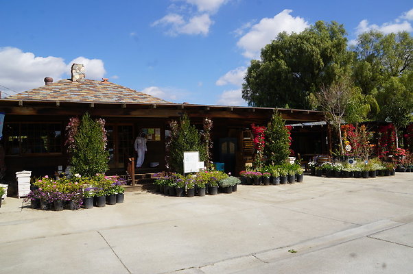 Topanga.Nursery.Chats.34