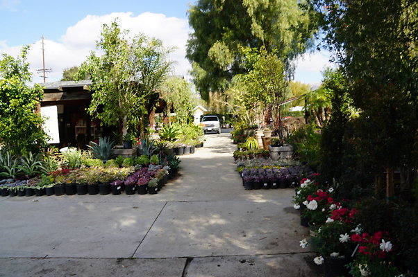 Topanga.Nursery.Chats.21
