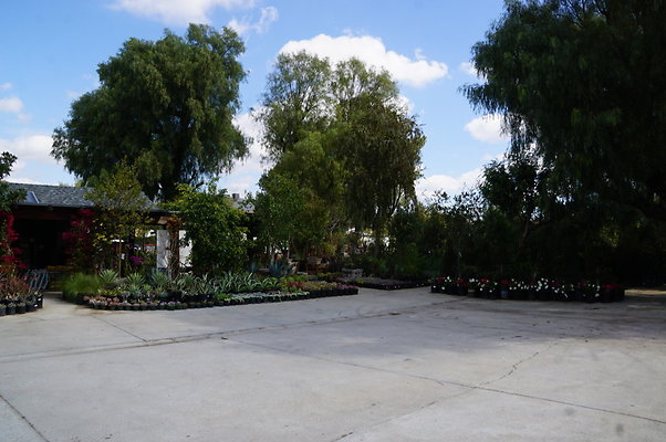 Topanga.Nursery.Chats.13