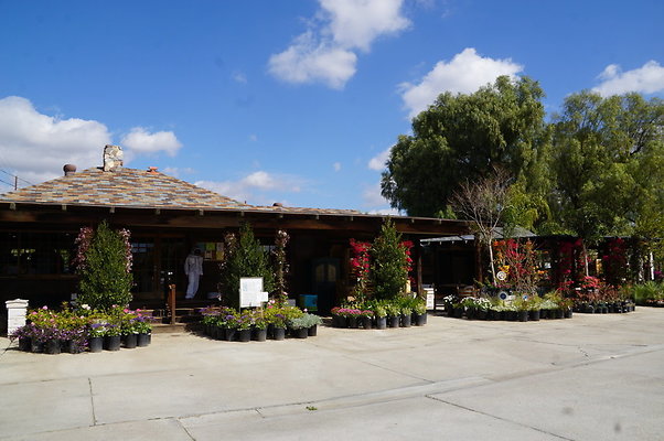 Topanga.Nursery.Chats.28