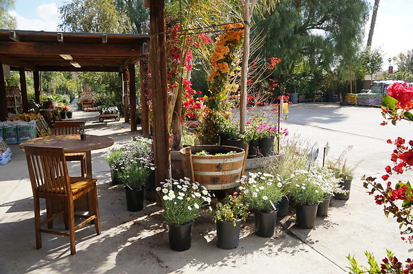 Topanga.Nursery.Chats.41