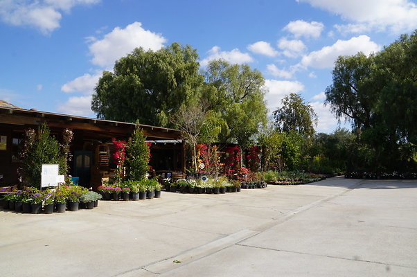 Topanga.Nursery.Chats.30