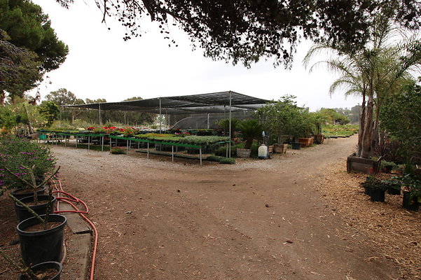 Pacific.View.Nursery.Malibu.22
