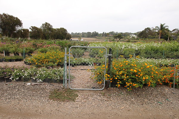 Pacific.View.Nursery.Malibu.42