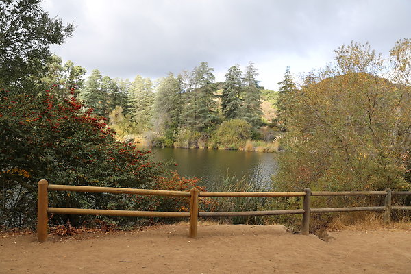 FC Park-Dale-Geo6D-Nov2017-264