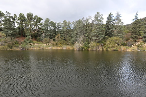 FC Park-Dale-Geo6D-Nov2017-273