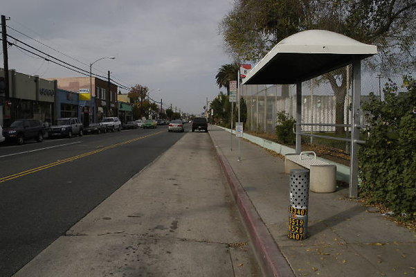 DSC 0446