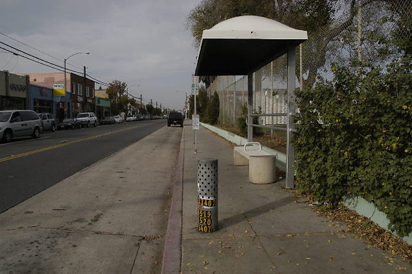 DSC 0449