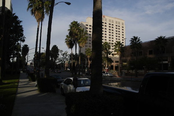 DSC 0243