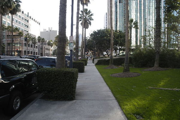 DSC 0252
