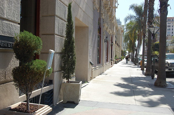 DSC 0129