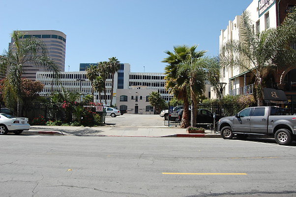 DSC 0131