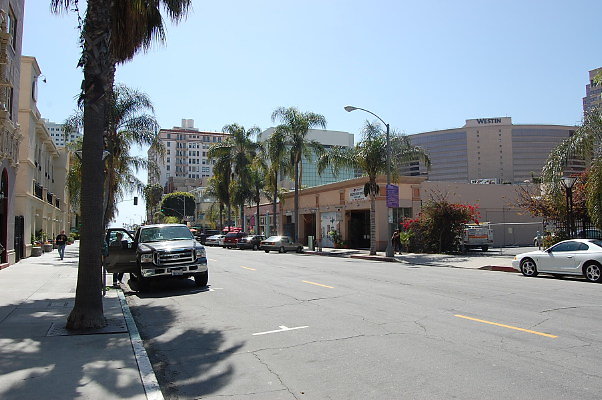 DSC 0130