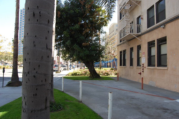 DSC 0042