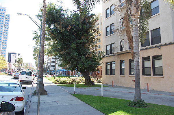 DSC 0032