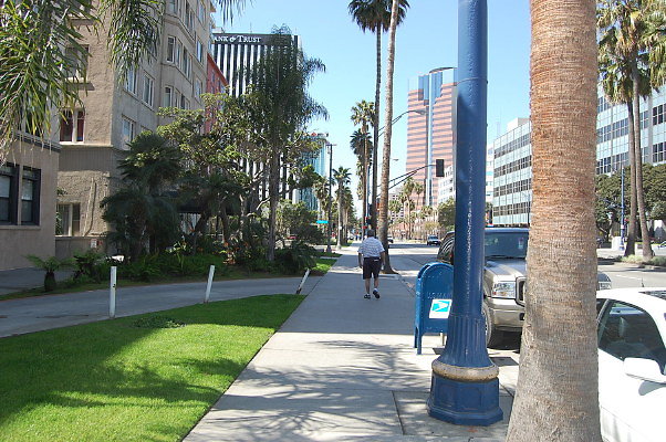 DSC 0036