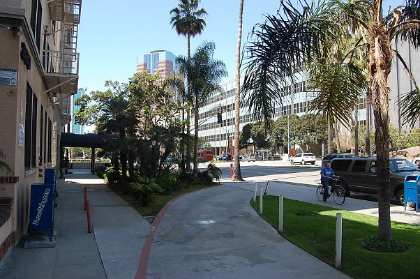 DSC 0038