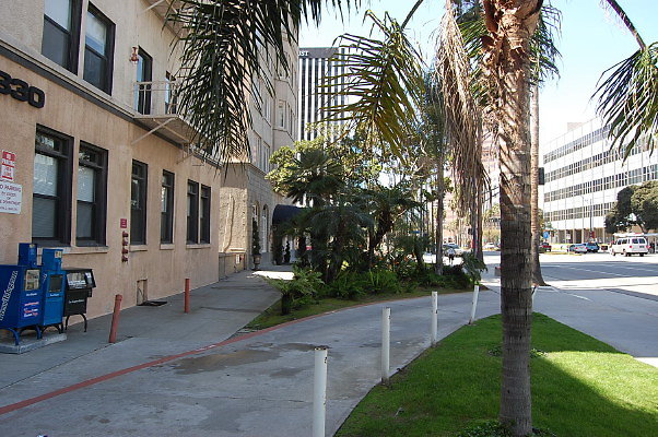 DSC 0041