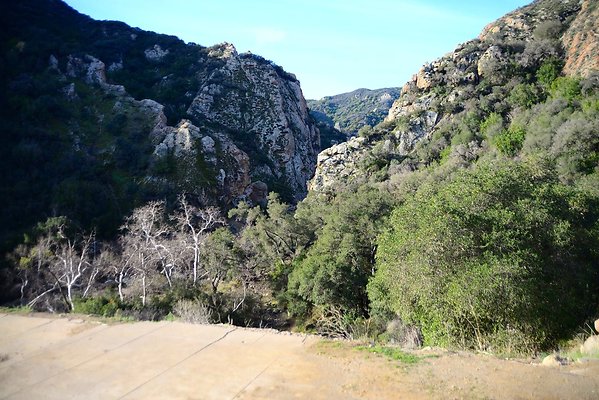 DSC 1208